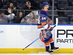 Mammoth Islanders Hockey