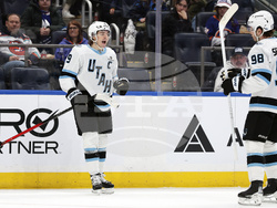 Mammoth Islanders Hockey