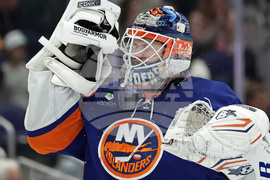 Mammoth Islanders Hockey