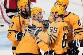 Red Wings Penguins Hockey