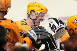 Red Wings Penguins Hockey