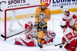 Red Wings Penguins Hockey