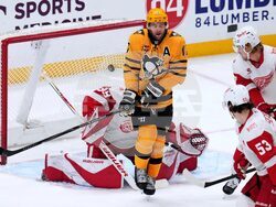 Red Wings Penguins Hockey