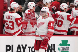 Red Wings Penguins Hockey