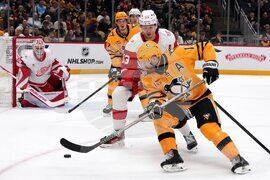 Red Wings Penguins Hockey