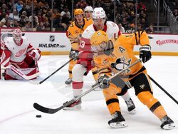 Red Wings Penguins Hockey