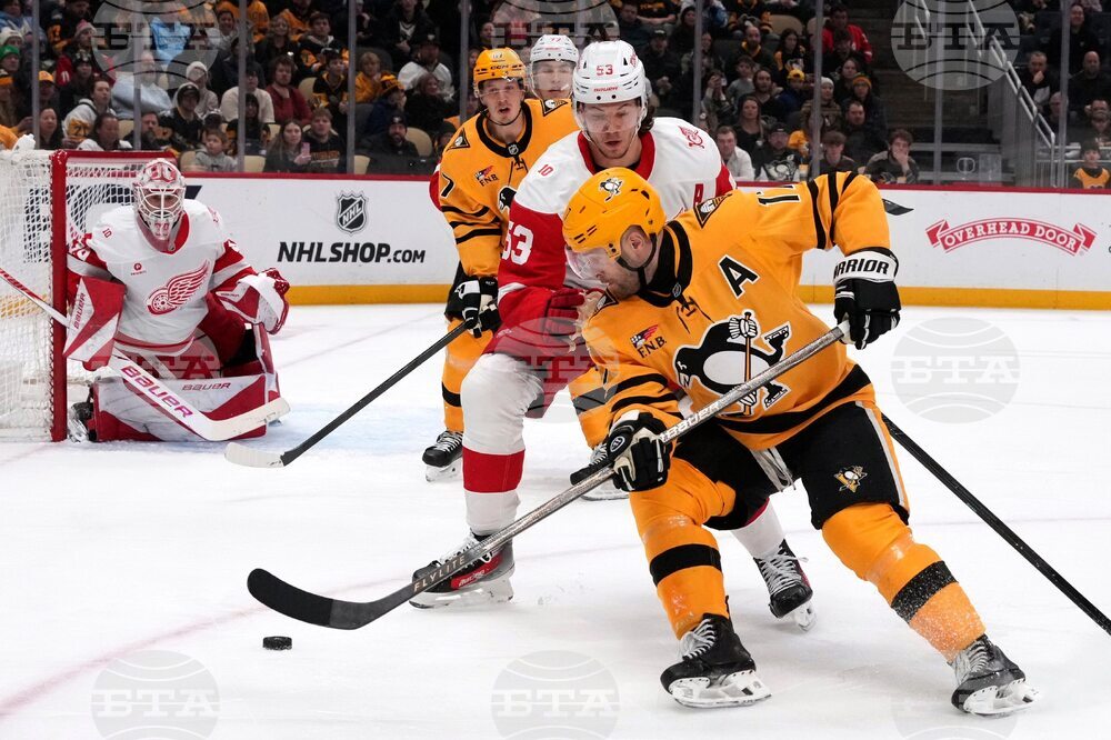 Red Wings Penguins Hockey