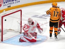 Red Wings Penguins Hockey