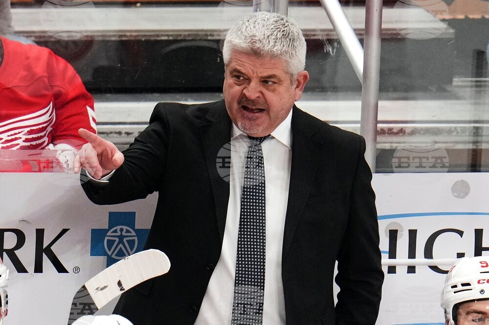 Red Wings Penguins Hockey