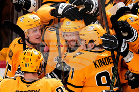 Red Wings Penguins Hockey