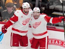 Red Wings Penguins Hockey