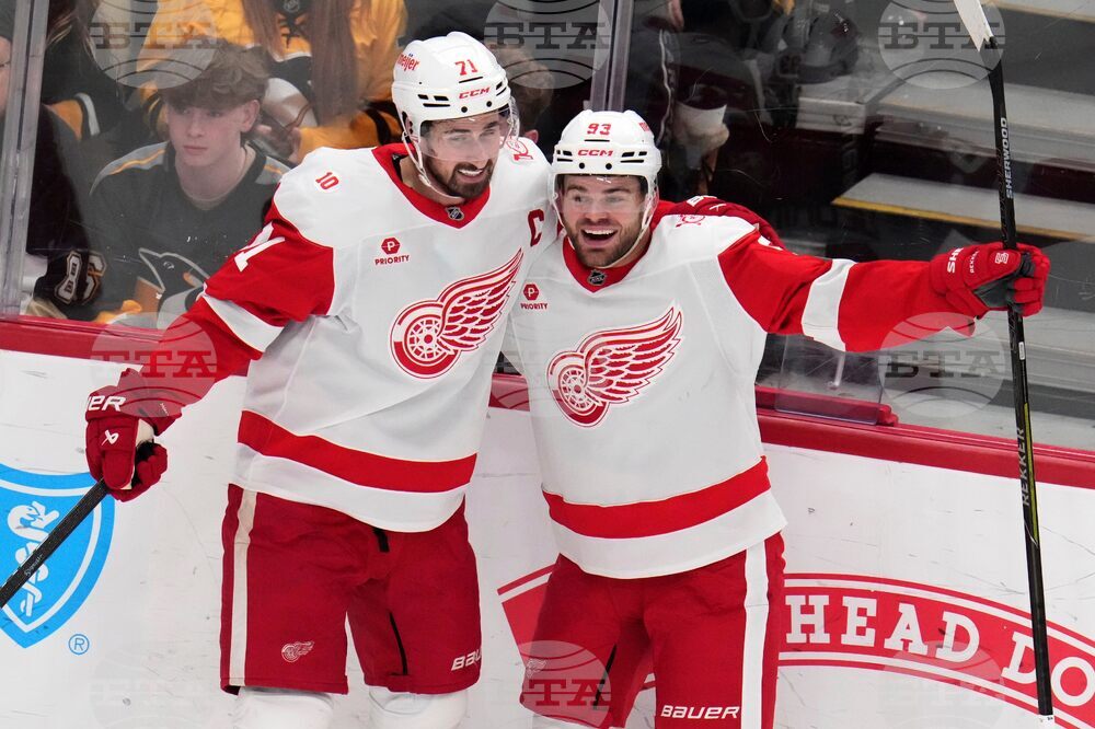 Red Wings Penguins Hockey