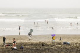 San Francisco Daily Life