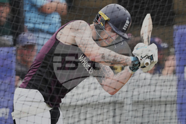 Australia England Cricket