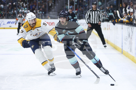 Predators Kraken Hockey