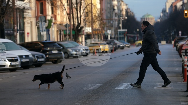 December Unemployment Rate at 5.19%, Down 0.04 Percentage Points Y/Y