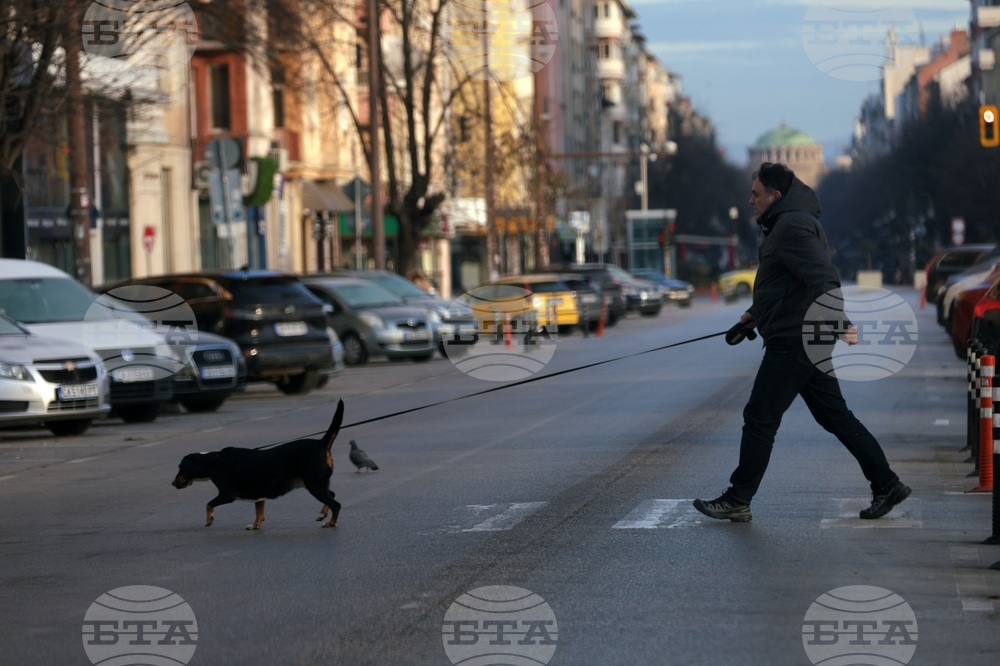 December Unemployment Rate at 5.19%, Down 0.04 Percentage Points Y/Y