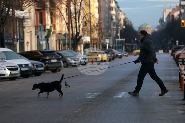 Прогноза за времето