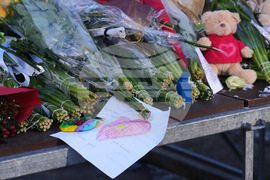 Switzerland Bar Fire