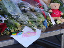 Switzerland Bar Fire