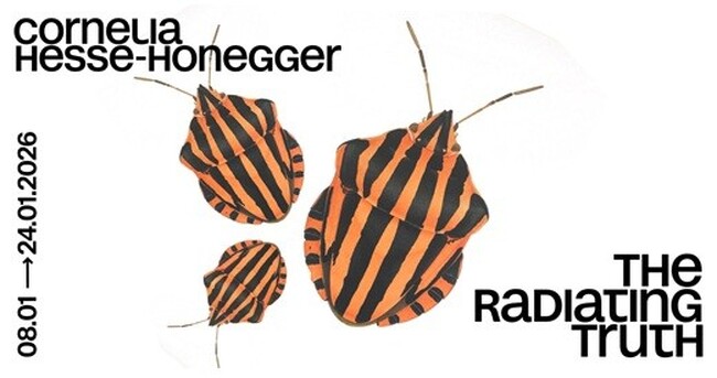 Radiating Truth: Cornelia Hesse-Honegger’s Art Tracks the Hidden Impact of Radiation