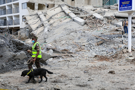 Kenya Building Collapse