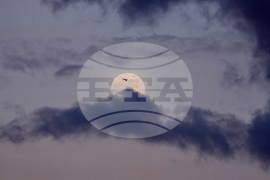 Serbia Wolf Supermoon