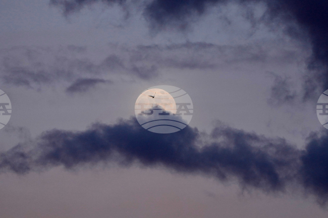 Serbia Wolf Supermoon