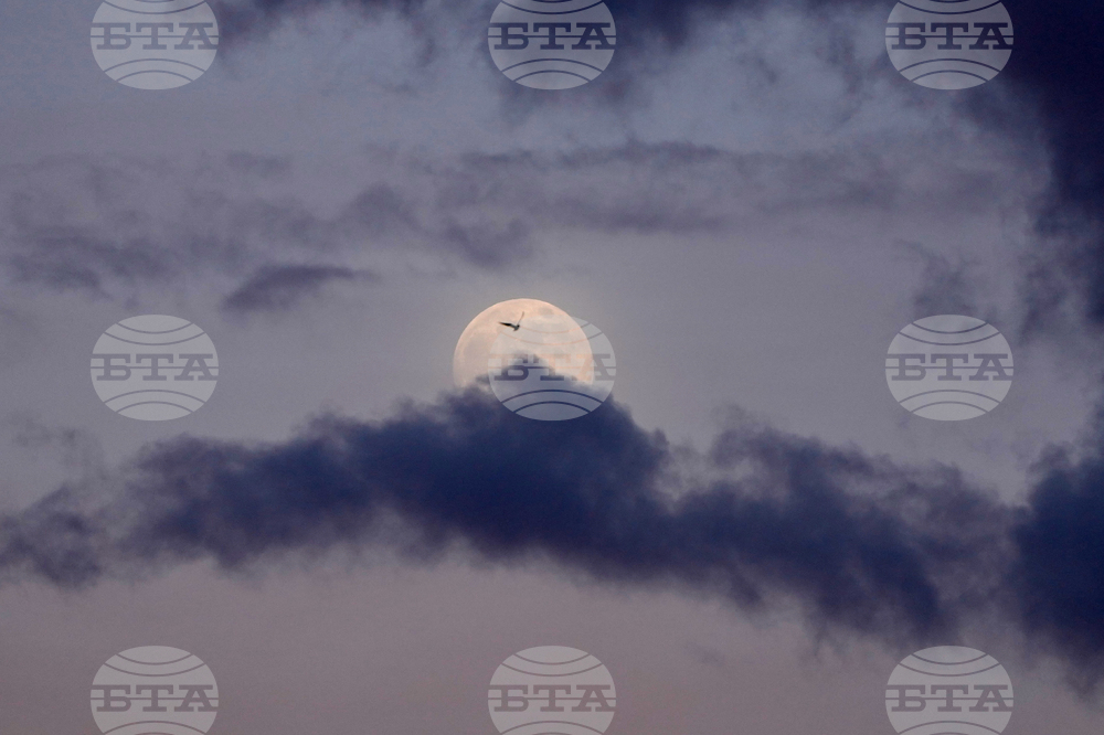 Serbia Wolf Supermoon