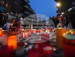 Switzerland Bar Fire