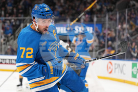 Golden Knights Blues Hockey