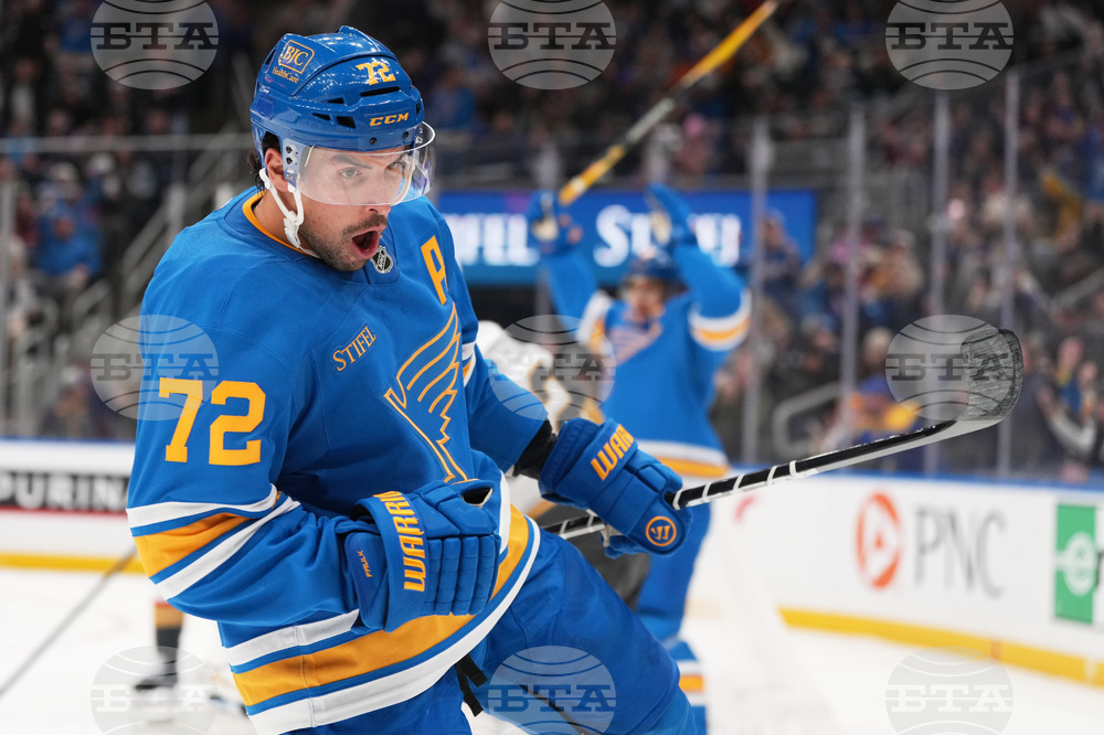 Golden Knights Blues Hockey