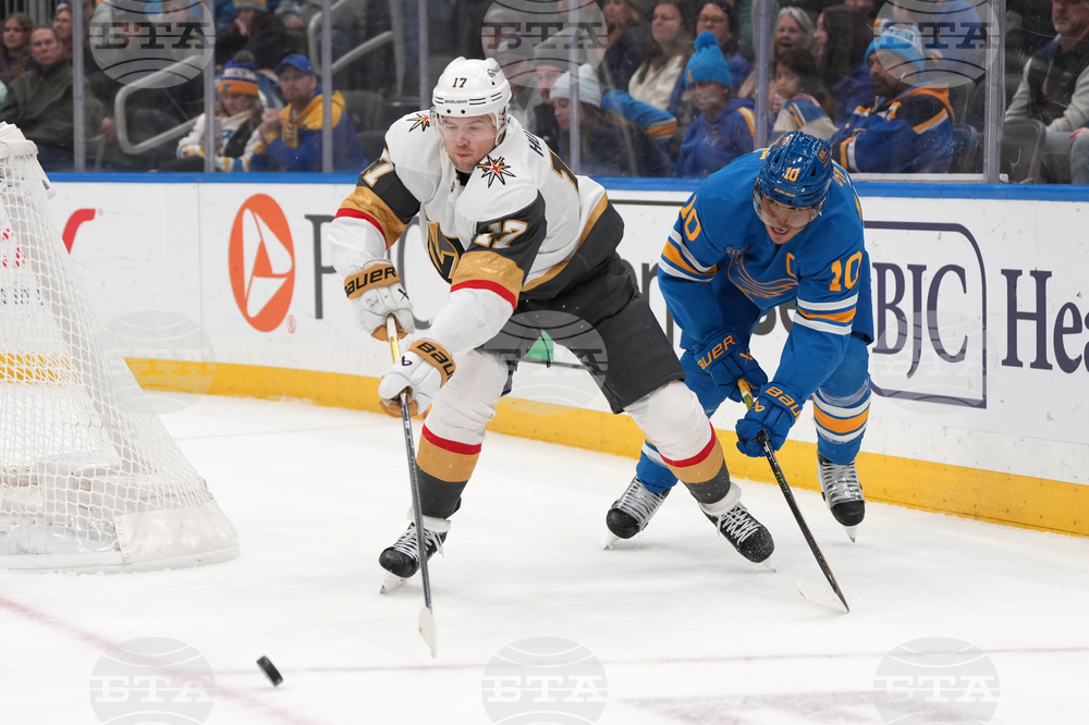 Golden Knights Blues Hockey