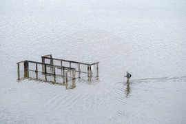 Extreme Weather California