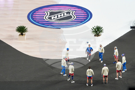 NHL Winter Classic Hockey