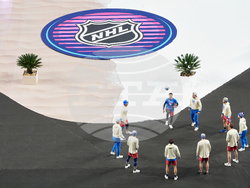 NHL Winter Classic Hockey