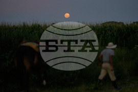 Argentina Wolf Supermoon