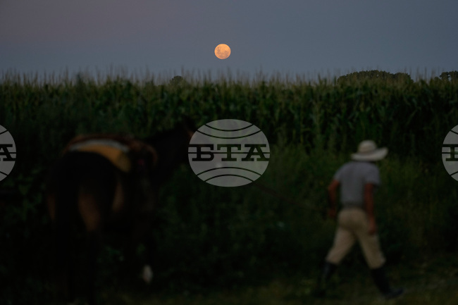 Argentina Wolf Supermoon