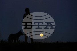 Argentina Wolf Supermoon