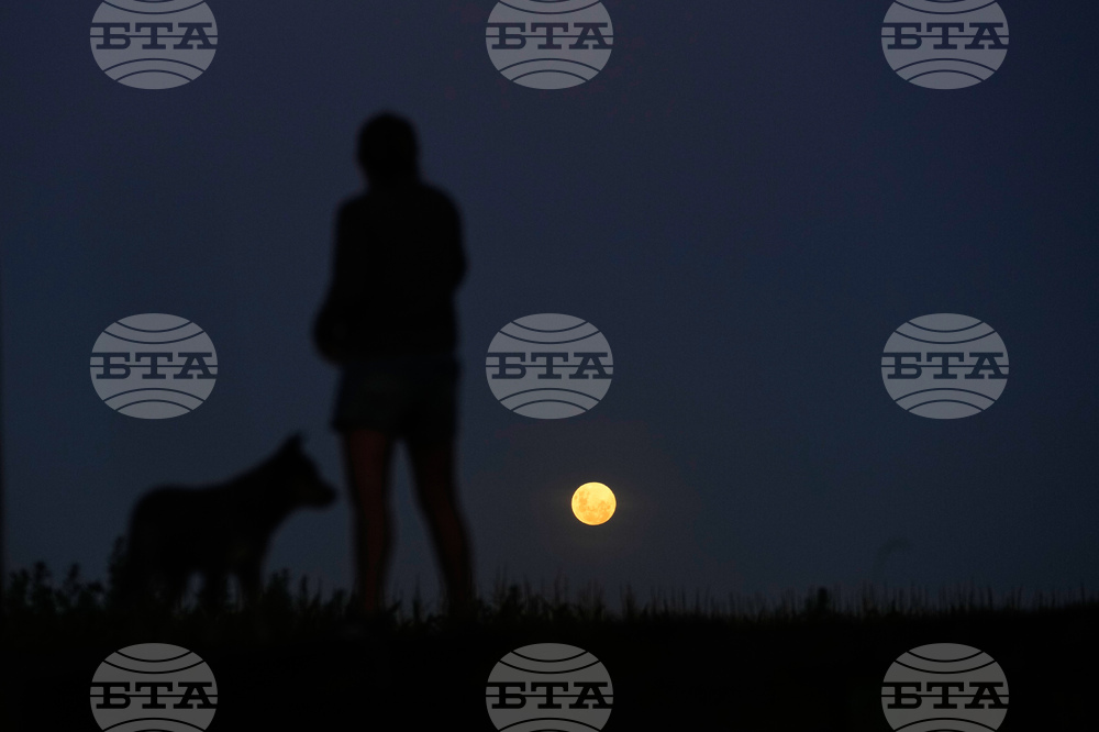 Argentina Wolf Supermoon