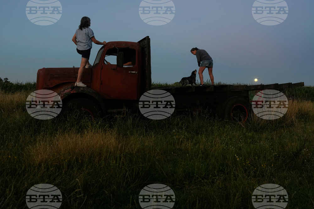 Argentina Wolf Supermoon