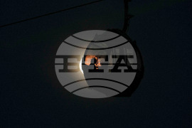 Venezuela Wolf Supermoon