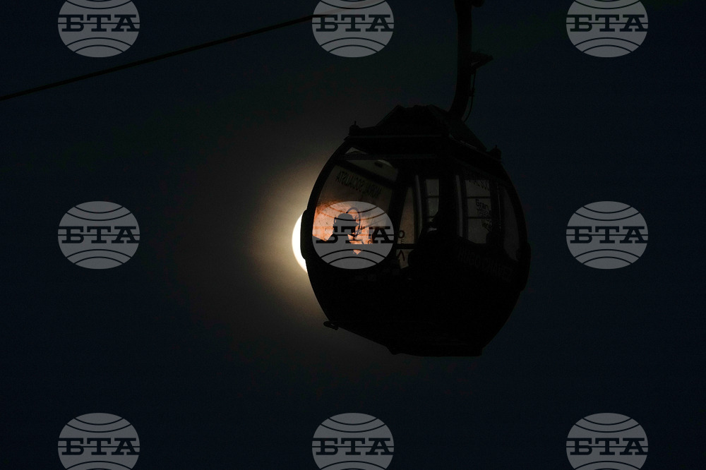 Venezuela Wolf Supermoon