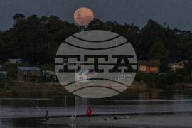 Uruguay Wolf Supermoon