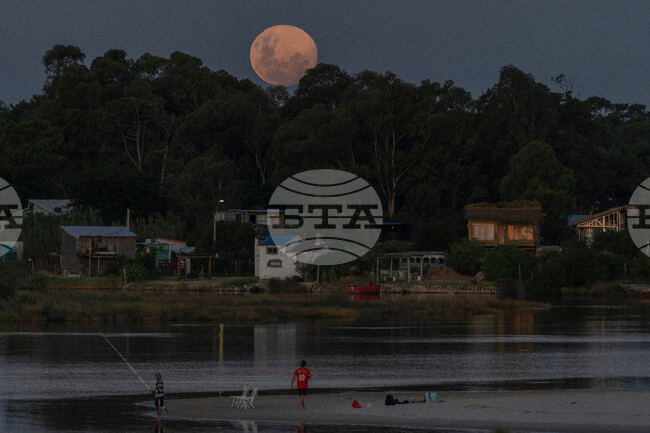 Uruguay Wolf Supermoon