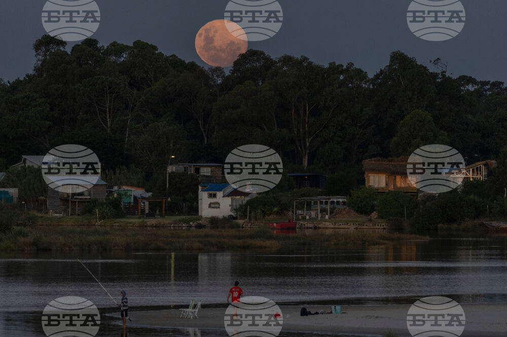 Uruguay Wolf Supermoon