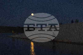 Uruguay Wolf Supermoon