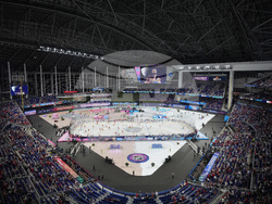 NHL Winter Classic Hockey