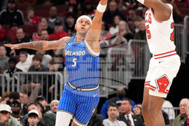 Magic Bulls Basketball