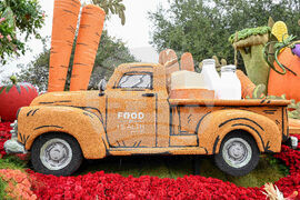 AHF Rose Parade Float